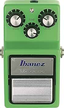 81+brXjwlcL._AC_UF350,